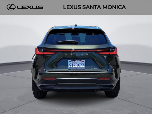 Used 2025 Lexus NX 250 FWD image 6