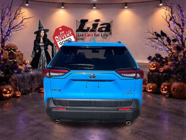 Used 2019 Toyota RAV4 LE w/ Carpet Mat Package AWD/4WD image 4
