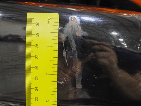 Used 1999 Dodge Dakota Sport image 22