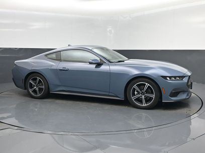 Used 2024 Ford Mustang Coupe