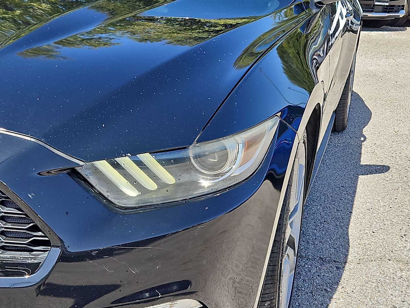 Used 2016 Ford Mustang Premium w/ Ecoboost Performance Package RWD image 10