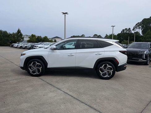 Used 2024 Hyundai Tucson Limited FWD image 6