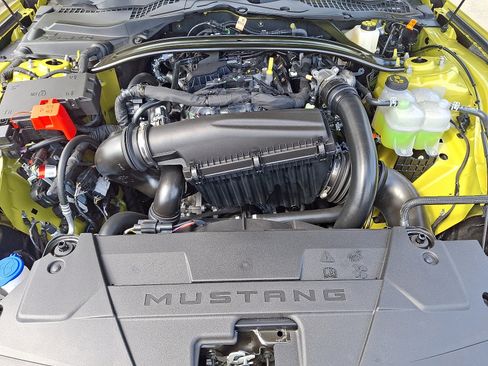 New 2025 Ford Mustang Premium w/ Mustang Nite Pony Package RWD image 19