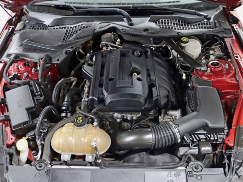 Used 2019 Ford Mustang Premium w/ Equipment Group 201A image 34