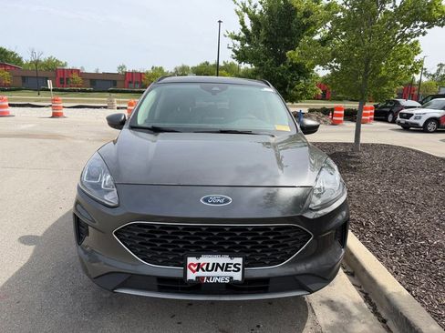 Used 2020 Ford Escape SE AWD/4WD image 5