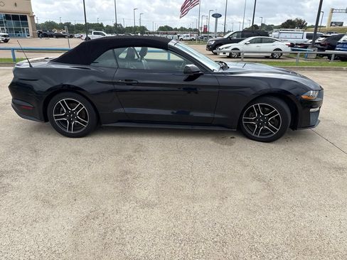 Used 2021 Ford Mustang Premium RWD image 14