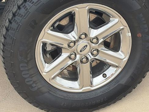 Used 2025 Ford F150 XLT w/ Equipment Group 301A Standard AWD/4WD image 11