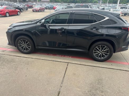 Used 2025 Lexus NX 250 FWD w/ Accessory Package (2T) image 5