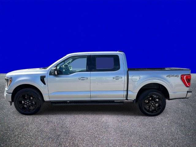 Used 2023 Ford F150 XLT w/ Equipment Group 302A High AWD/4WD image 6