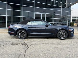 Used 2021 Ford Mustang GT Premium w/ Equipment Group 401A video 2