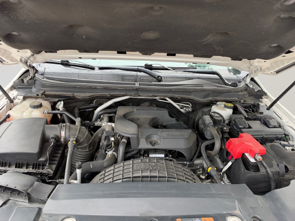 Used 2019 Ford Ranger Lariat w/ Equipment Group 501A Mid AWD/4WD image 19
