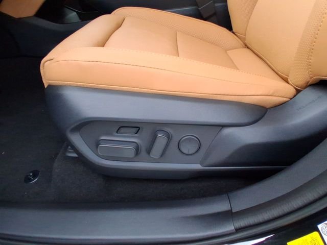 New 2026 Lexus ES 350e w/ Accessory Package (K3) FWD image 12