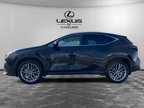 Used 2023 Lexus NX 350 AWD w/ Cold Area Package image 3