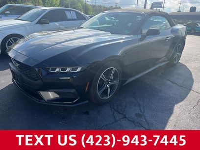 Used 2024 Ford Mustang Premium