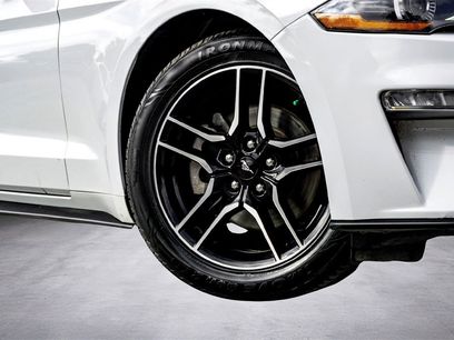 Used 2023 Ford Mustang Premium