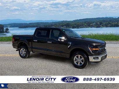 Used 2024 Ford F150 XLT w/ Equipment Group 302A MID