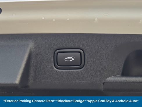 Used 2025 Hyundai Palisade Calligraphy AWD/4WD image 23