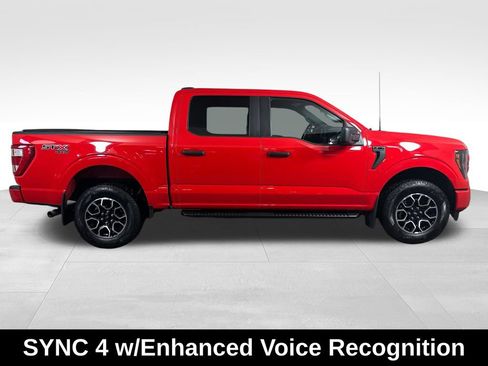 Used 2023 Ford F150 XL w/ STX Appearance Package AWD/4WD image 13