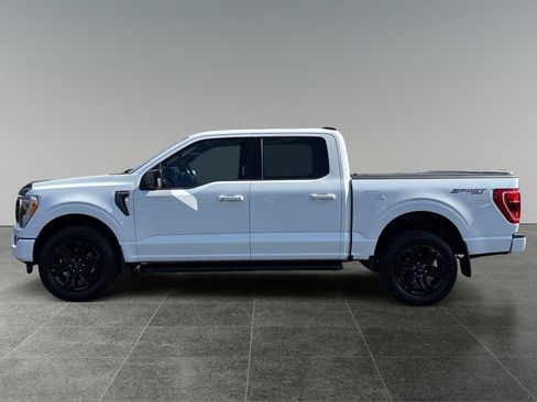 Used 2023 Ford F150 XLT w/ Equipment Group 302A High AWD/4WD image 6
