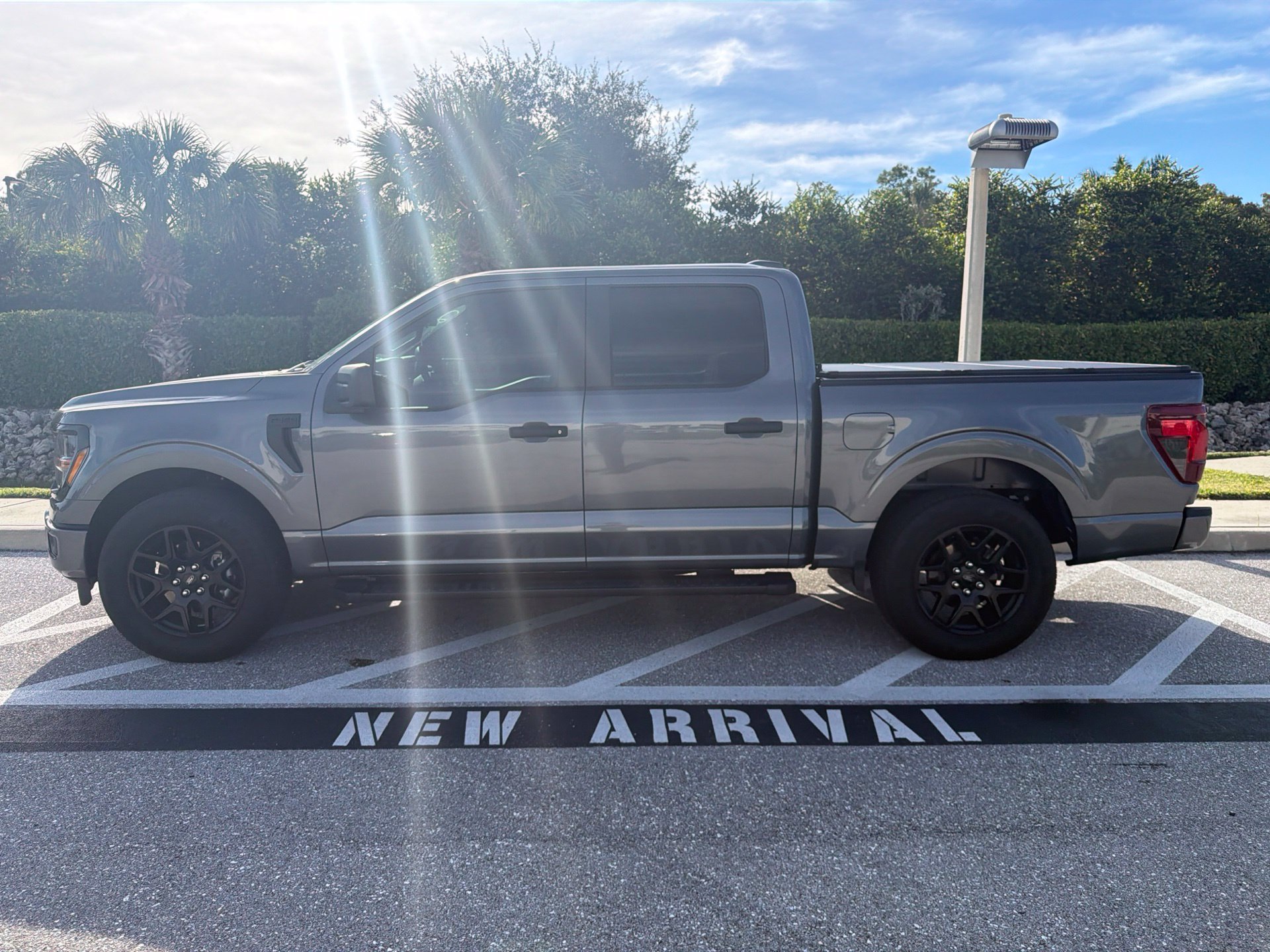 Used 2024 Ford F150 STX w/ STX Black Appearance Package RWD image 8