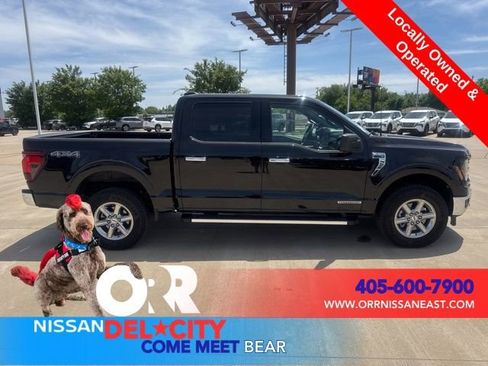 Used 2024 Ford F150 XLT w/ Mobile Office Package image 6