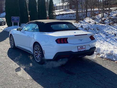 New 2026 Ford Mustang Premium image 8