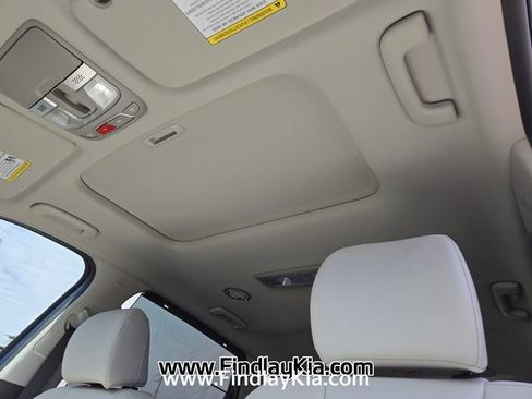 New 2025 Kia Telluride EX image 10