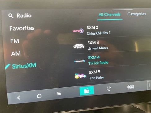 New 2026 Kia Carnival SX Prestige image 31