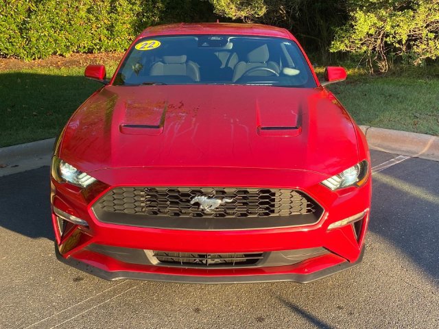 Used 2022 Ford Mustang Coupe w/ Equipment Group 101A RWD image 2