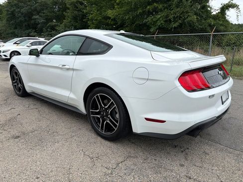 Used 2019 Ford Mustang EcoBoost Premium Coupe 2D w/ Equipment Group 101A RWD image 4