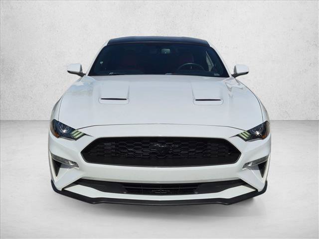 Used 2019 Ford Mustang Premium w/ Equipment Group 201A RWD image 2