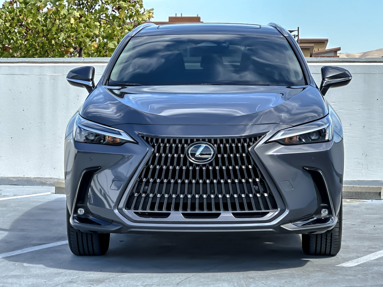 Used 2024 Lexus NX 250 AWD w/ Cold Area Package image 12