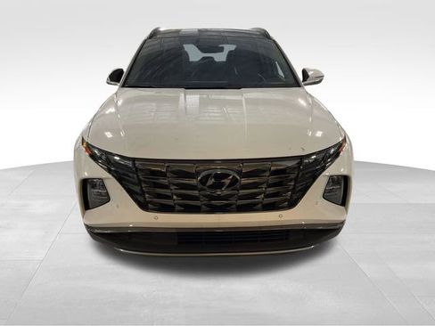 Used 2024 Hyundai Tucson Limited image 2