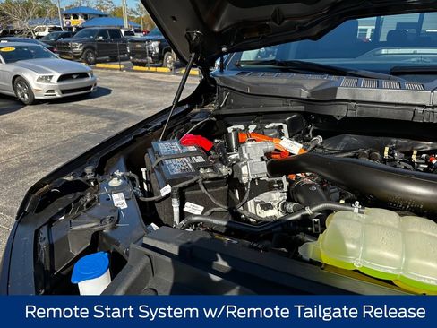 New 2025 Ford F150 XLT w/ Equipment Group 302A MID image 23