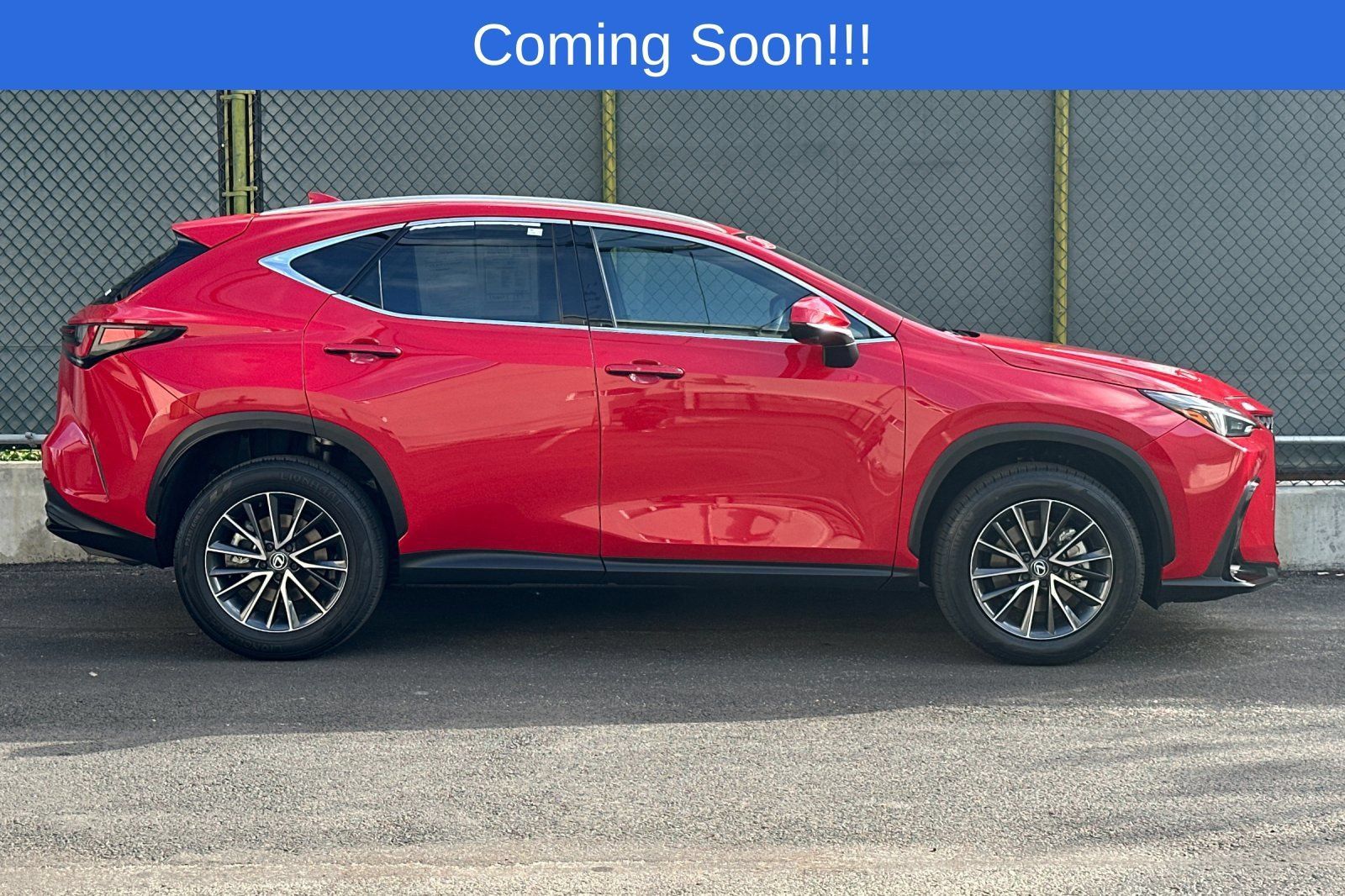 Used 2024 Lexus NX 350 AWD w/ Vision Package image 3