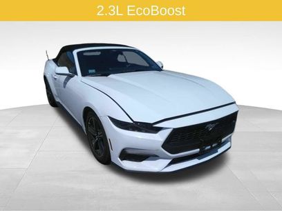 Used 2025 Ford Mustang Premium