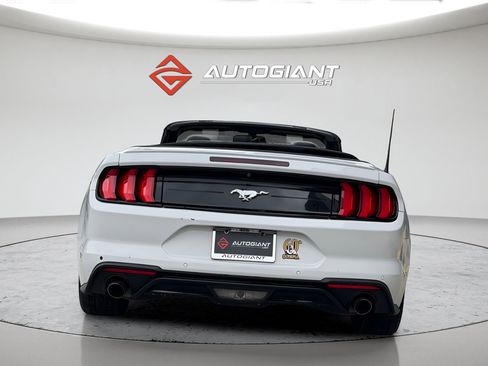 Used 2019 Ford Mustang Premium RWD image 9