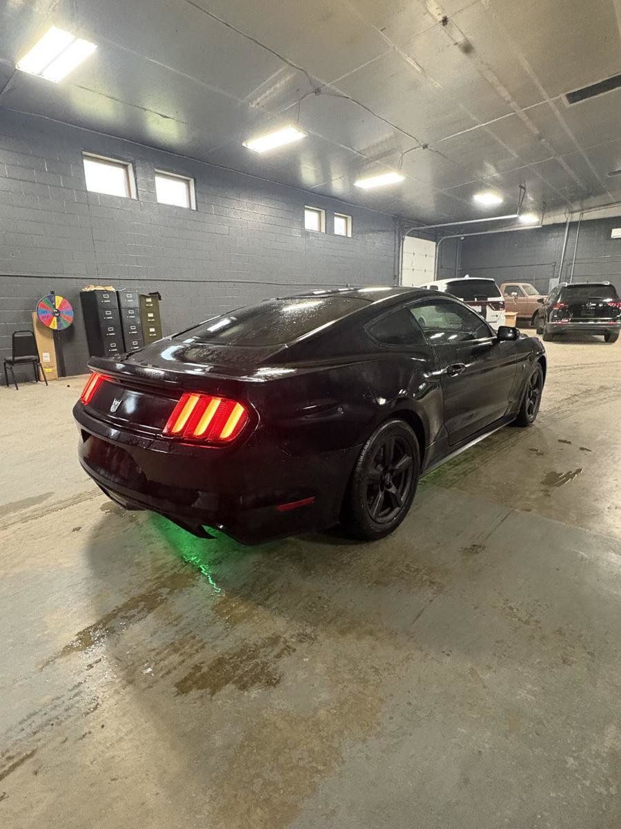 Used 2017 Ford Mustang Coupe RWD image 8