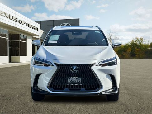 Used 2024 Lexus NX 350h AWD w/ Cold Area Package image 5