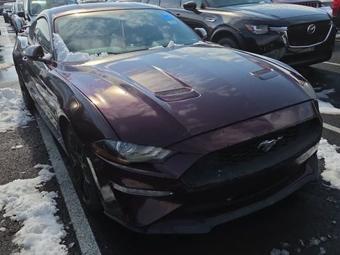Used 2018 Ford Mustang Coupe w/ Ecoboost Performance Package RWD image 4