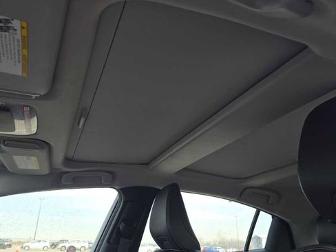 Used 2025 Toyota Prius XLE image 5