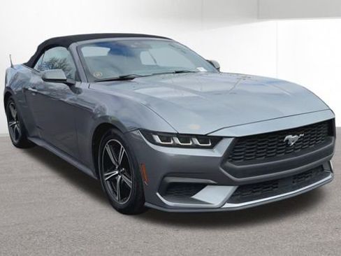 Used 2024 Ford Mustang Premium image 2