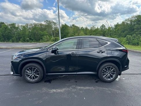 Used 2025 Lexus NX 350h AWD w/ Accessory Package (2T) image 6