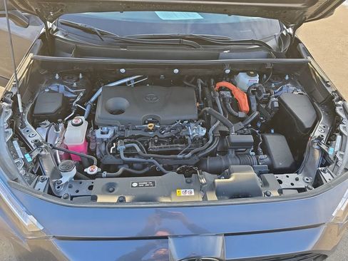 Certified 2025 Toyota RAV4 LE image 30