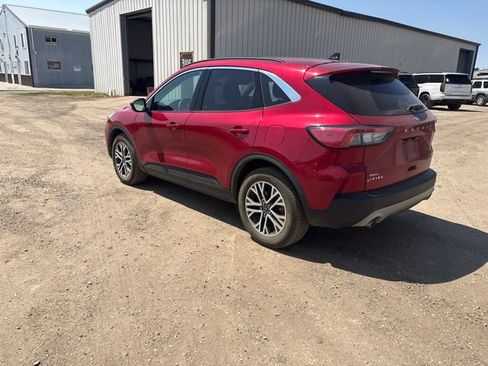 Used 2020 Ford Escape SEL AWD/4WD image 7