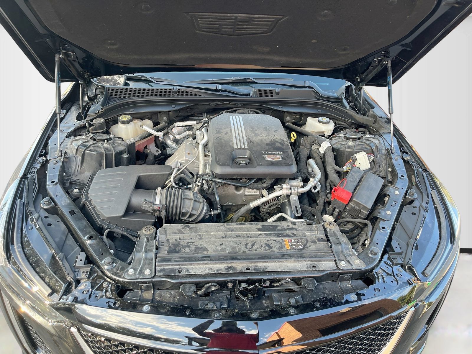 Used 2023 Cadillac CT5 Sport AWD/4WD image 32