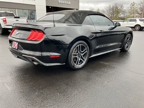 Used 2018 Ford Mustang Premium image 8