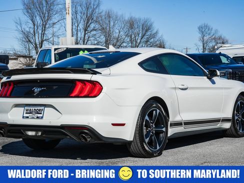 Used 2021 Ford Mustang Coupe w/ Equipment Group 101A image 4