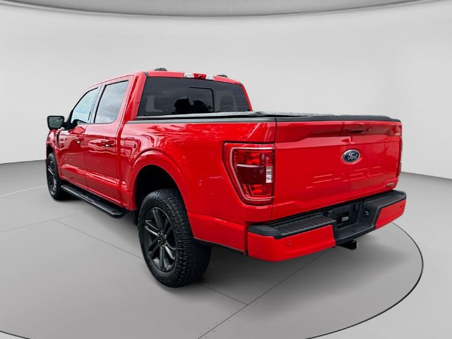 Used 2021 Ford F150 XLT w/ Equipment Group 302A High AWD/4WD image 3