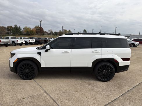 Used 2024 Hyundai Santa Fe Calligraphy image 5